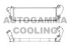 AUTOGAMMA 101480 Intercooler, charger